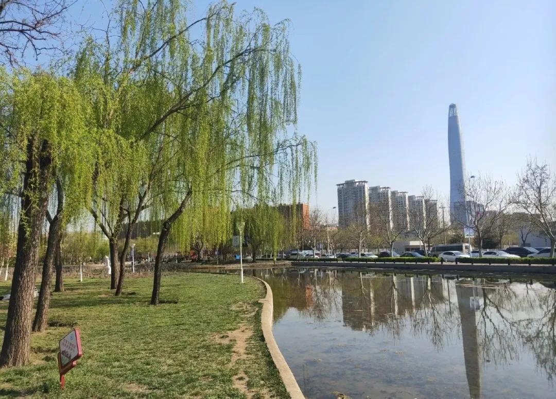 一个不出郑州的踏青好去处,天津春游公园推荐