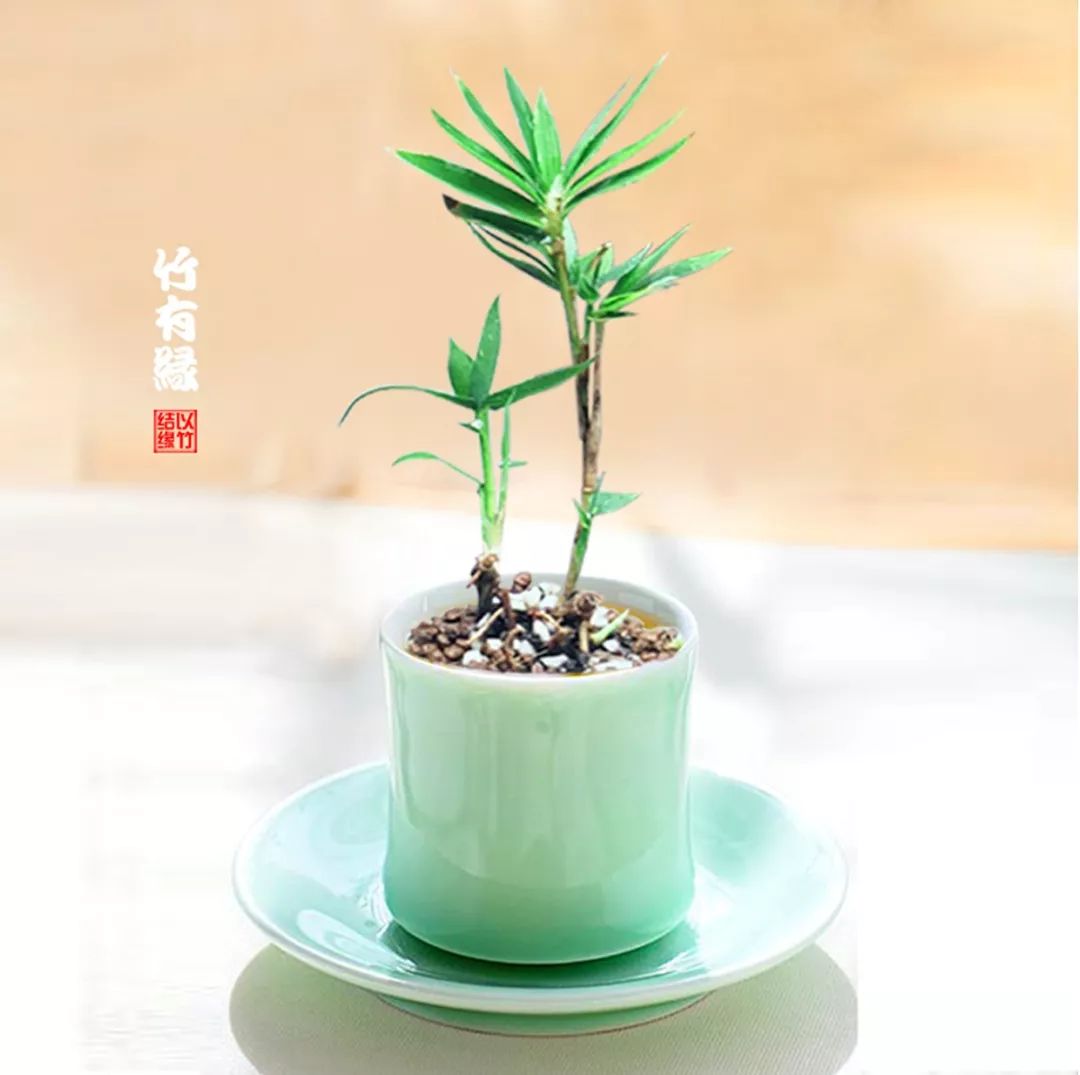 冬天来了你家备暖气片了吗,冬天来了你家棉拖准备好了吗