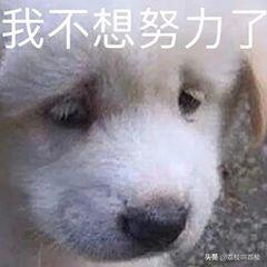 为什么痘痘总是长在同一位置上,同一个位置反复长痘痘怎么治