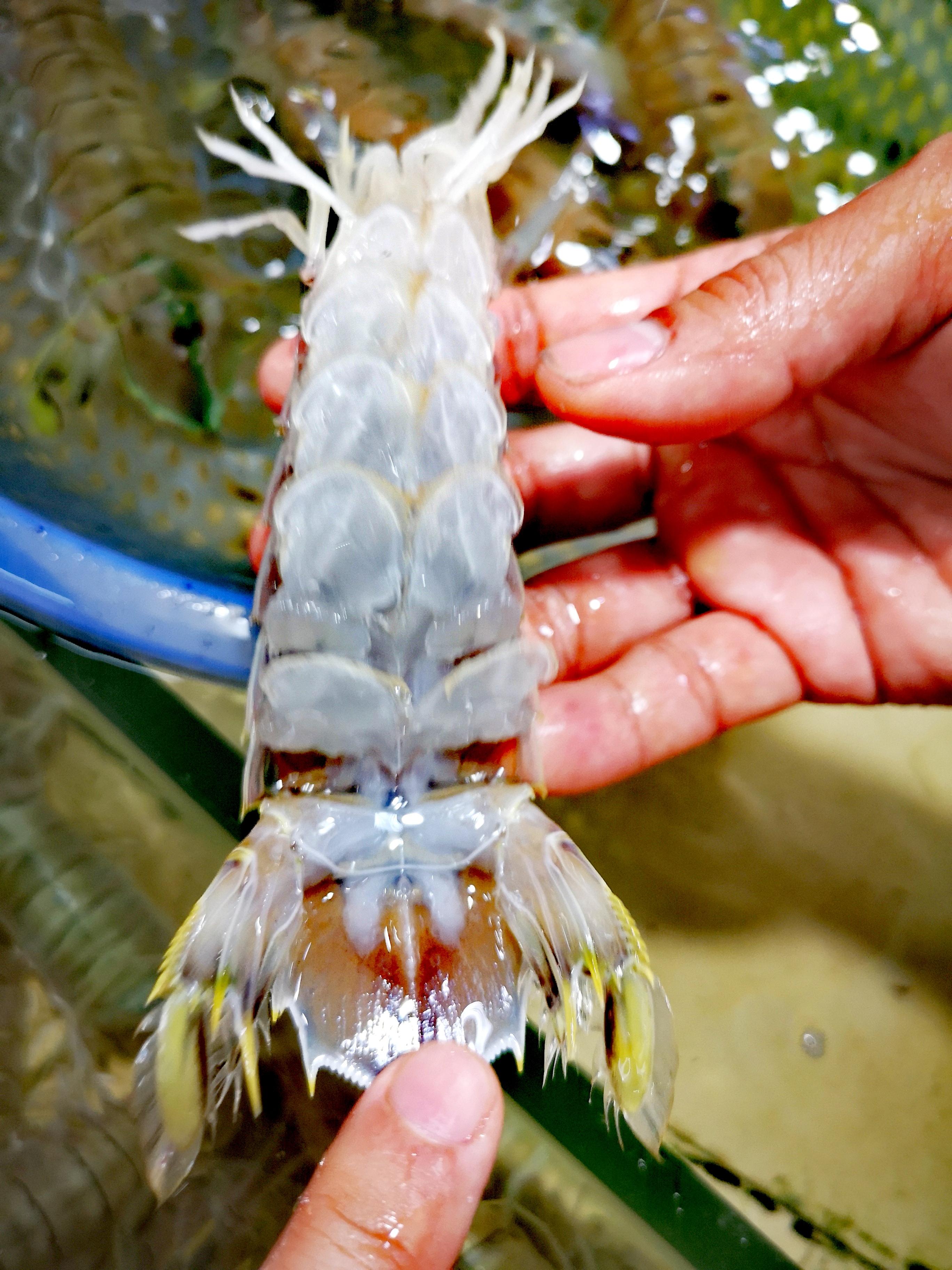 雨天东兴万尾金滩游,冬季东兴万尾金滩