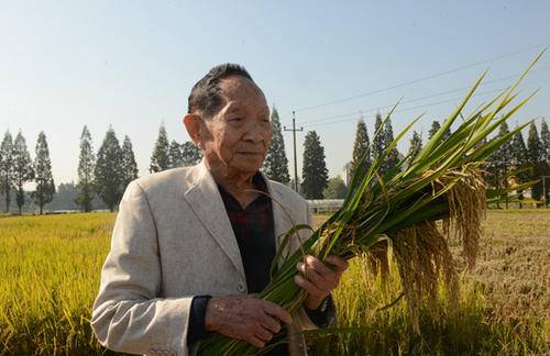 袁隆平与邓哲,袁隆平和邓哲的爱情