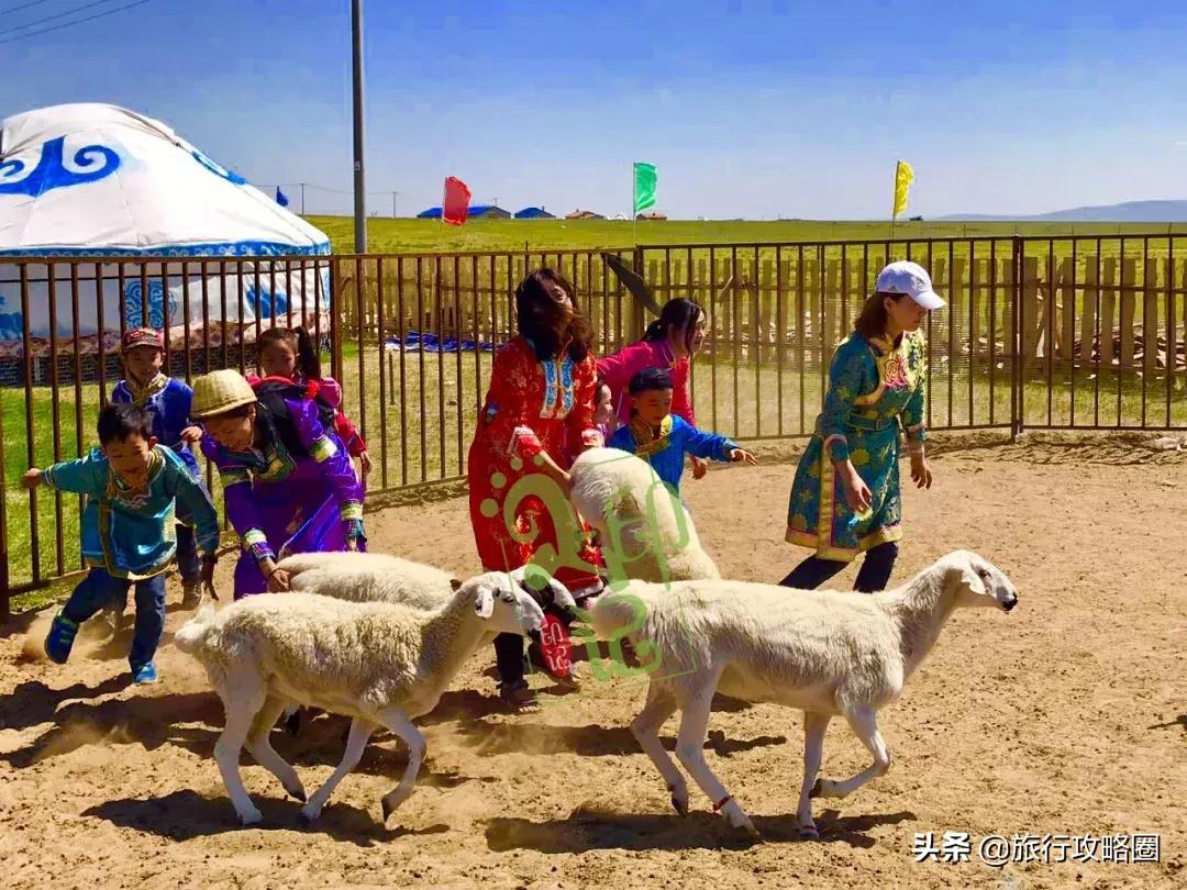 呼伦贝尔亲子游十天怎样玩,呼伦贝尔大草原亲子游