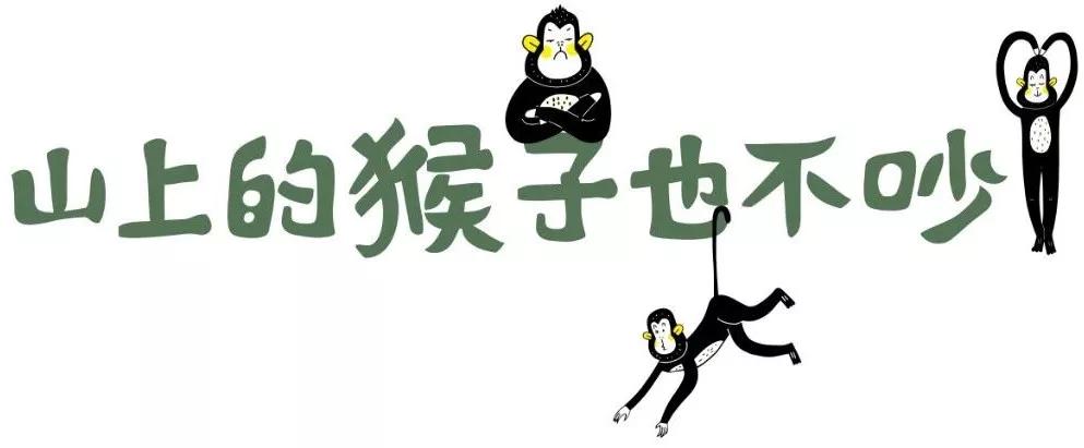 在动物园漫步才是正经事|暴走福州