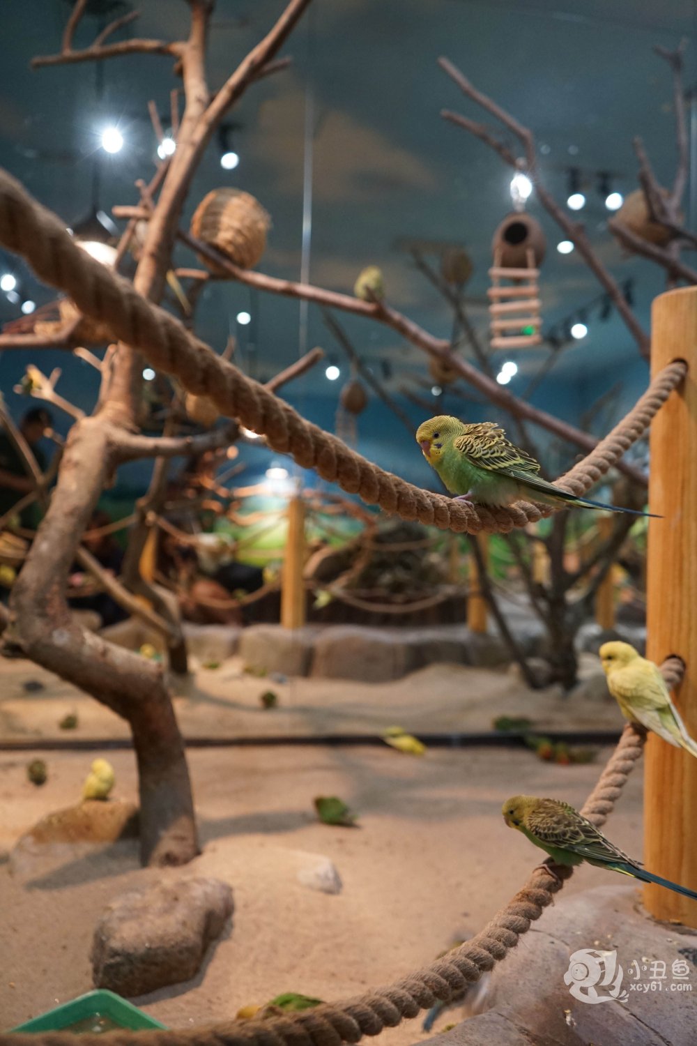 儿童玩的遛娃好去处,有动物的溜娃好去处