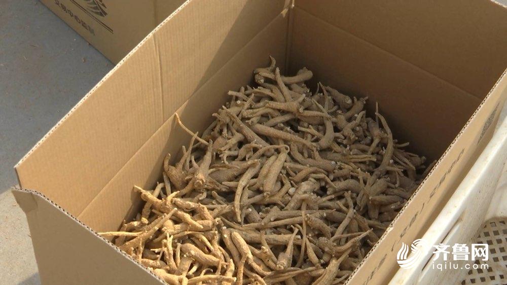 农贸市场食品安全公示栏,2020年食品安全示范城市名单