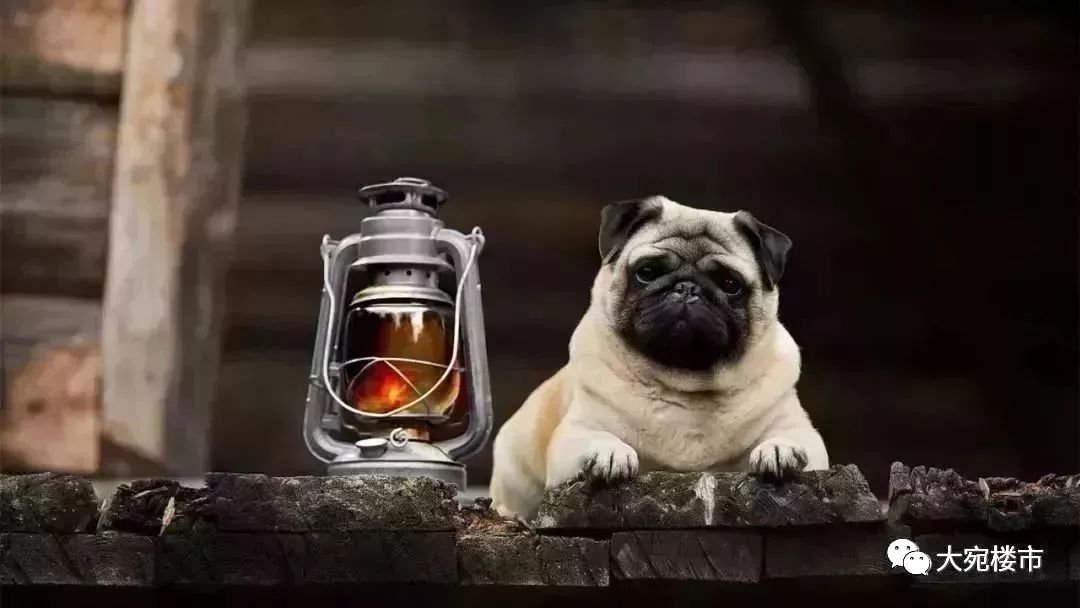 南阳哪个地段的房子最值得购买呢,南阳买房的10个忠告