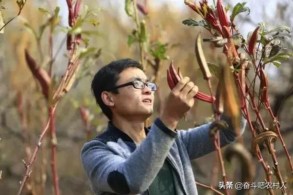 7个创业项目低成本高利润生意,高利润小投入创业项目有哪些