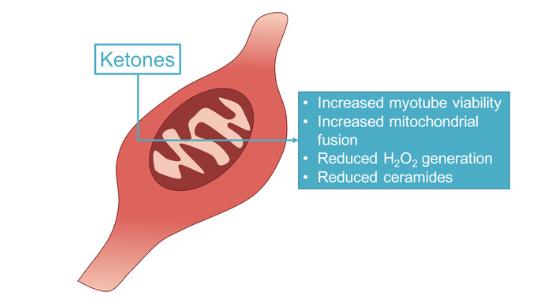 运动一点后浑身酸累无力,运动后第2天浑身酸软无力