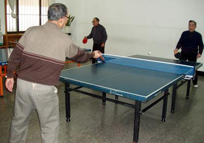 乒乓球幽默说说,德努特乒乓球