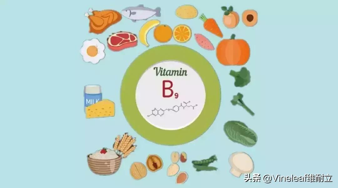 补叶酸吃什么东西呢,叶酸如何服用及关注事项