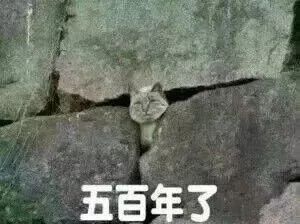 过年千万不要送的礼物,过年送礼千万不要买这3种