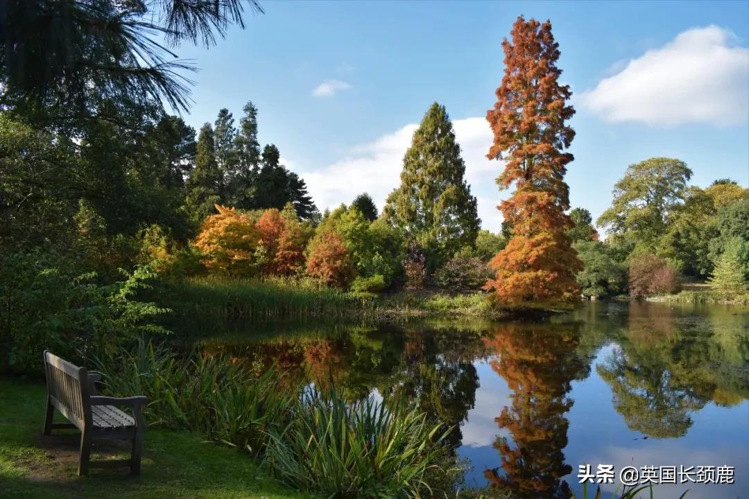 英国秋天好去处,英国秋天旅游必去的地方