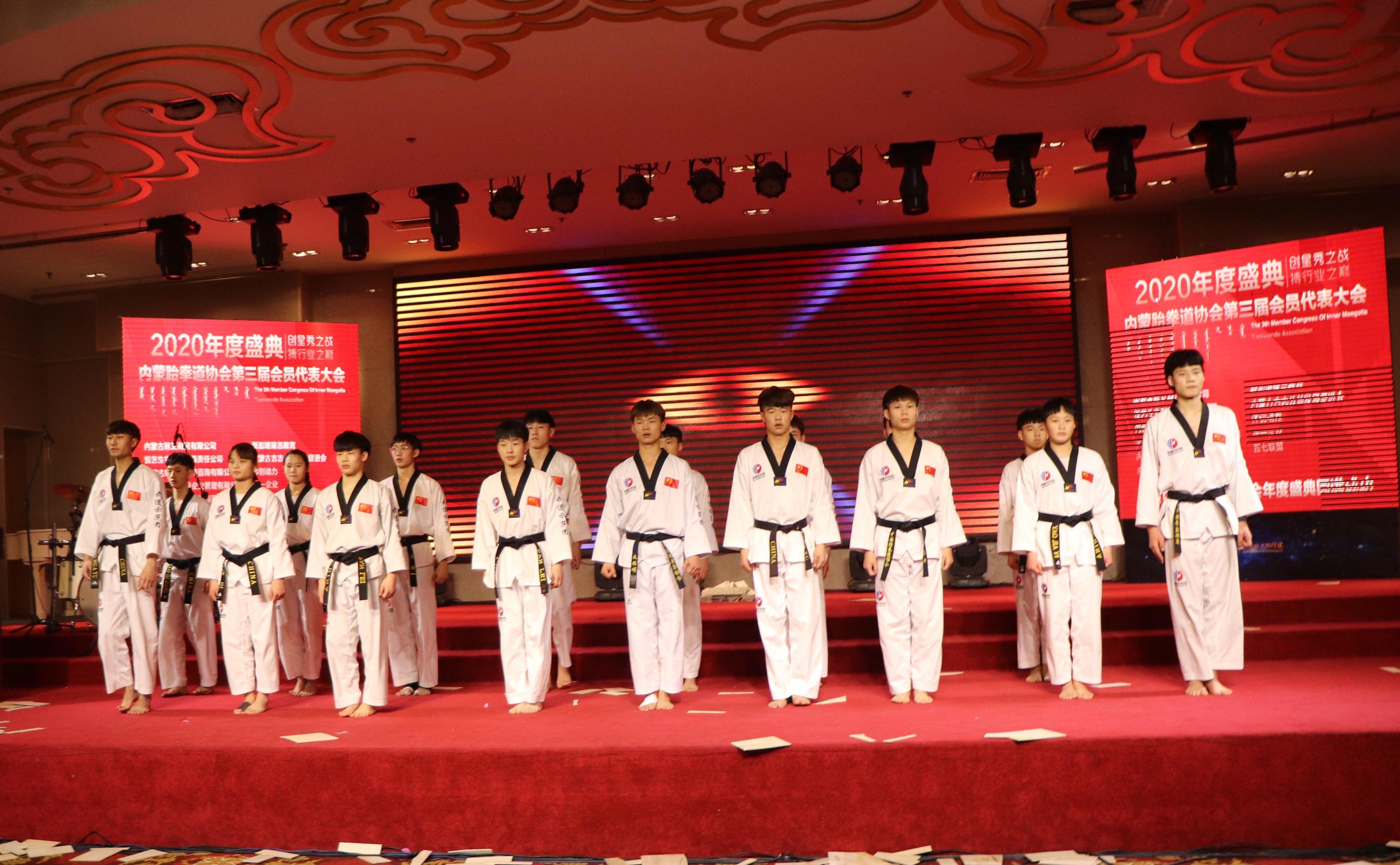 内蒙古跆拳道全国赛,内蒙古跆拳道总决赛