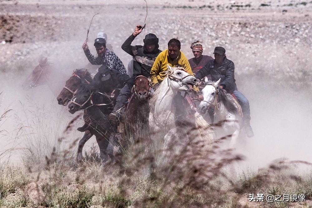 铁血雄鹰全剧,铁血雄鹰全文阅读