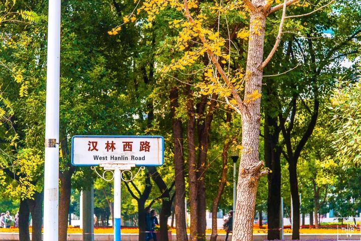 武汉11月打卡景点和网红地,武汉50个值得打卡的地方