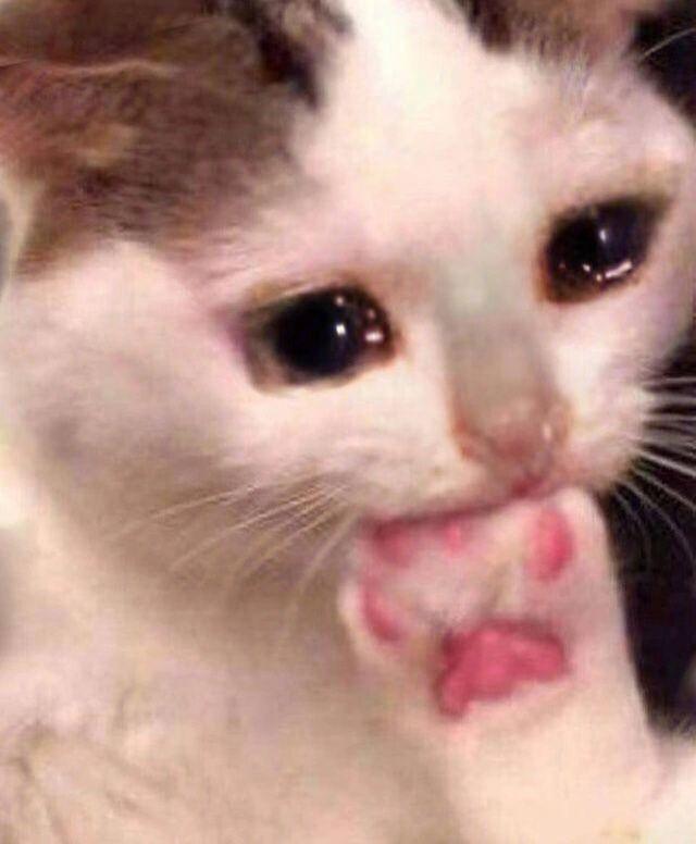 鍖楁紓閬囧埌鐨勫钁╀簨,鍖楁紓璺笂閬囧埌鐨勫钁╀簨