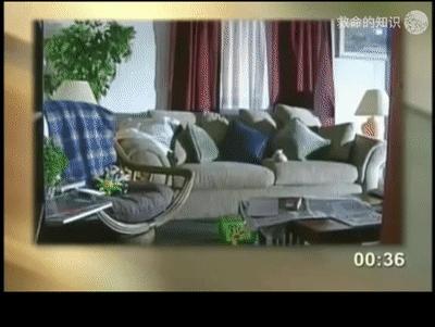 盘点大学宿舍的那些事,深度还原大学宿舍真实日常
