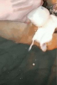 搞笑gif跟着妹子的节拍摇起来,敲锣打鼓甩头搞笑gif
