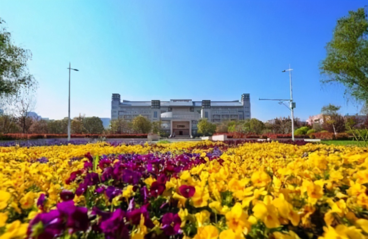 郑州大学冬季风景,郑州大学风景园林好不好