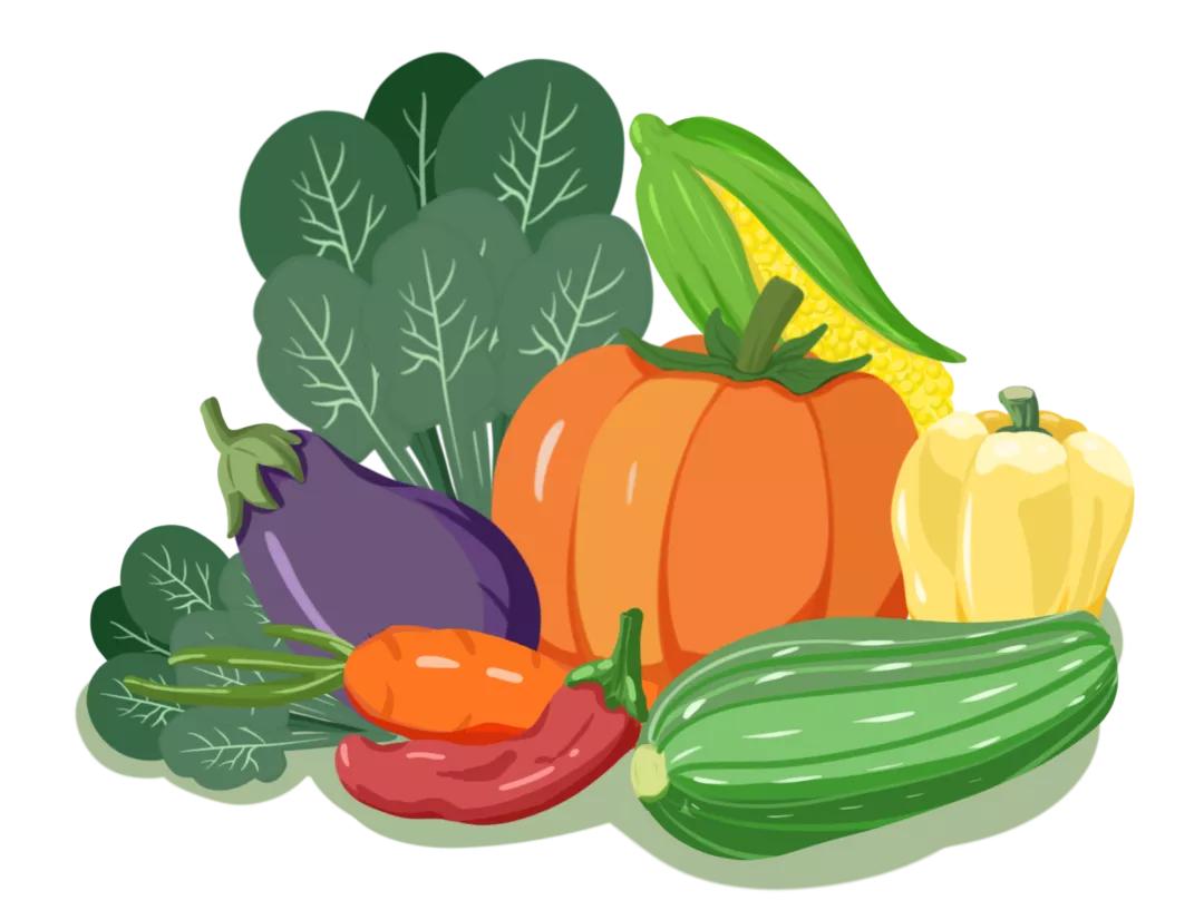 痒痒痒！身上出现这种小水疱，千万别戳破