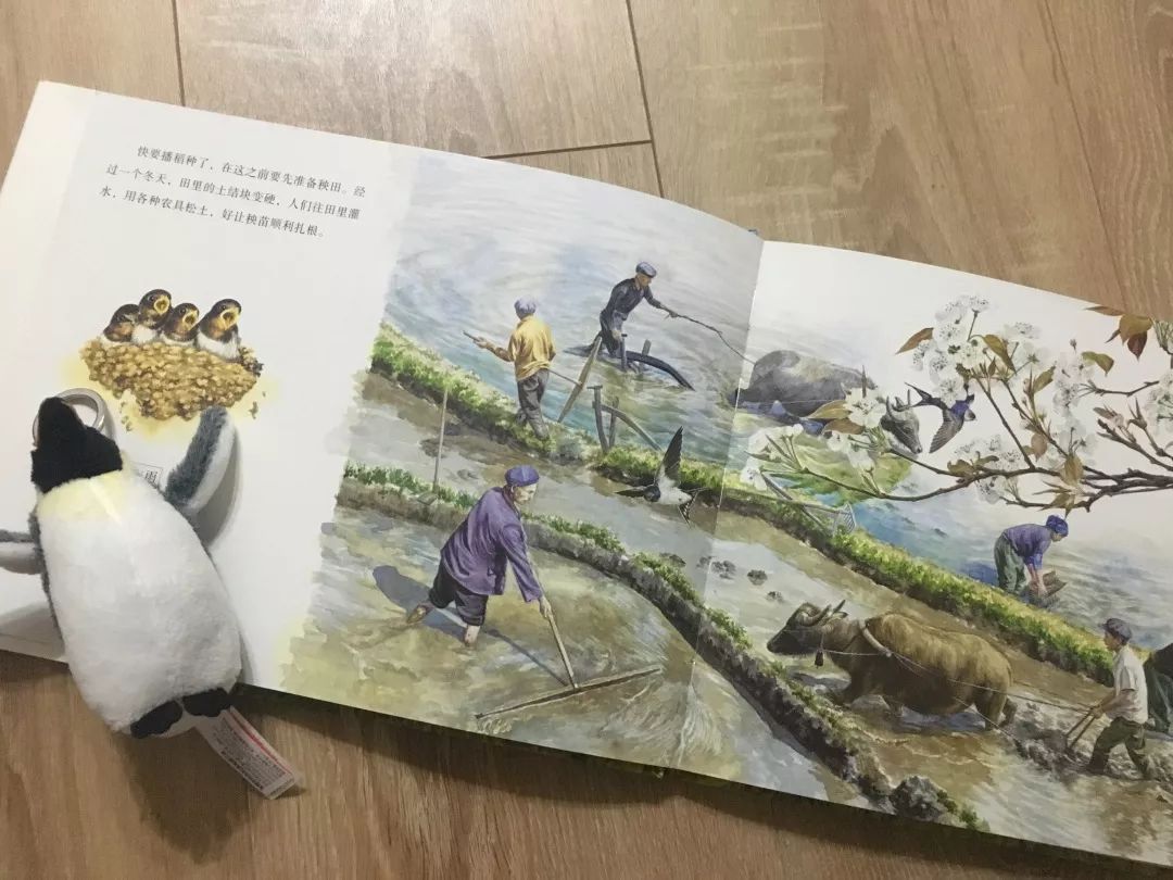 这8套大师级的中国原创绘本，用动画般的画面让孩子目不转睛