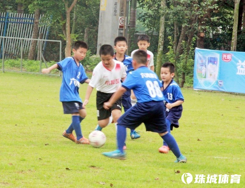 北海足球青训2024,足球青训北海