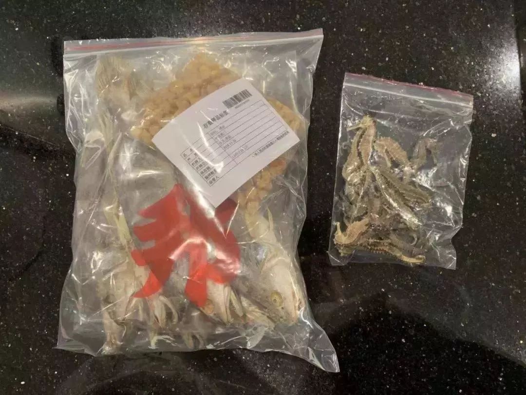 去香港有哪些要关注的事,到香港旅游一定要关注的5件事