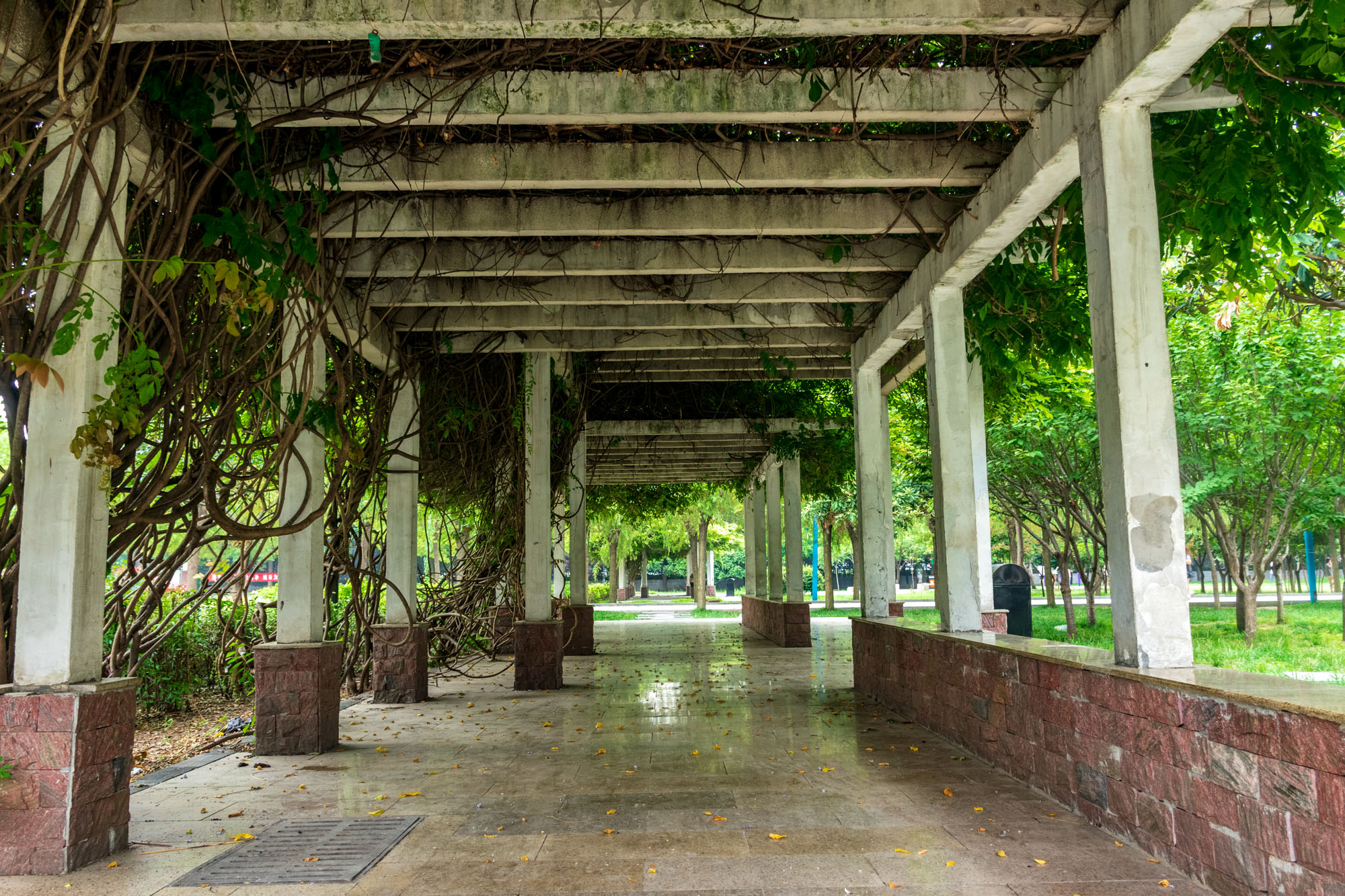 遂平县奥林匹克公园广场,遂平县奥林匹克晚会