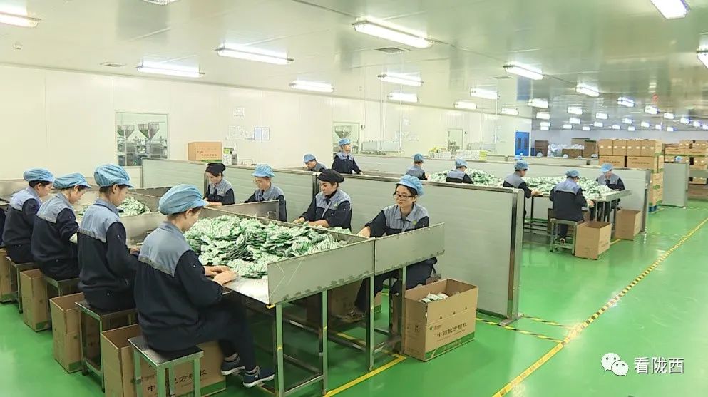 「奋斗十四五奋进新征程」陇西一方制药：中医药质量建设的新高地