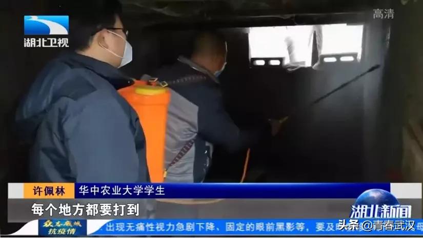 返乡大学生为防疫贡献青春力量,大学生扎根基层奉献青春