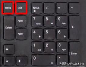 电脑键盘home和end用法,电脑键盘end键的功能