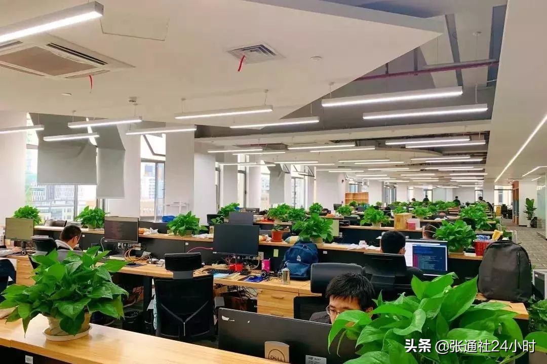 瓴盛科技入驻上海,瓴盛科技