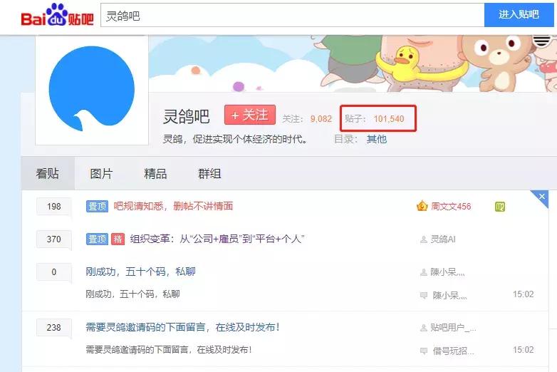 王欣介绍灵鸽,王欣灵鸽