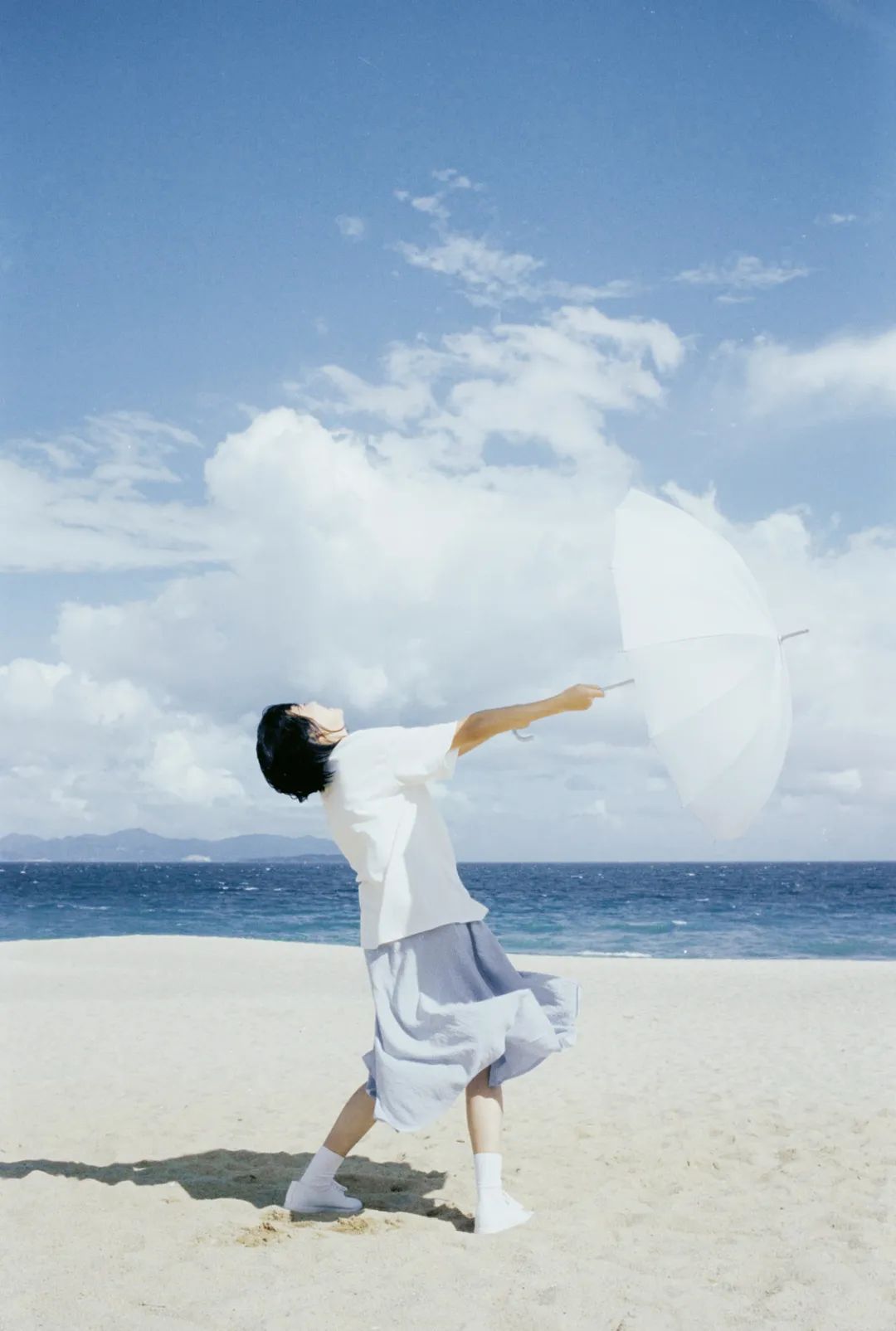 海滨老城泡桐花 (海滨老城紫色泡桐花)