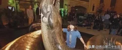 这十种巨型怪物，还好都已灭绝