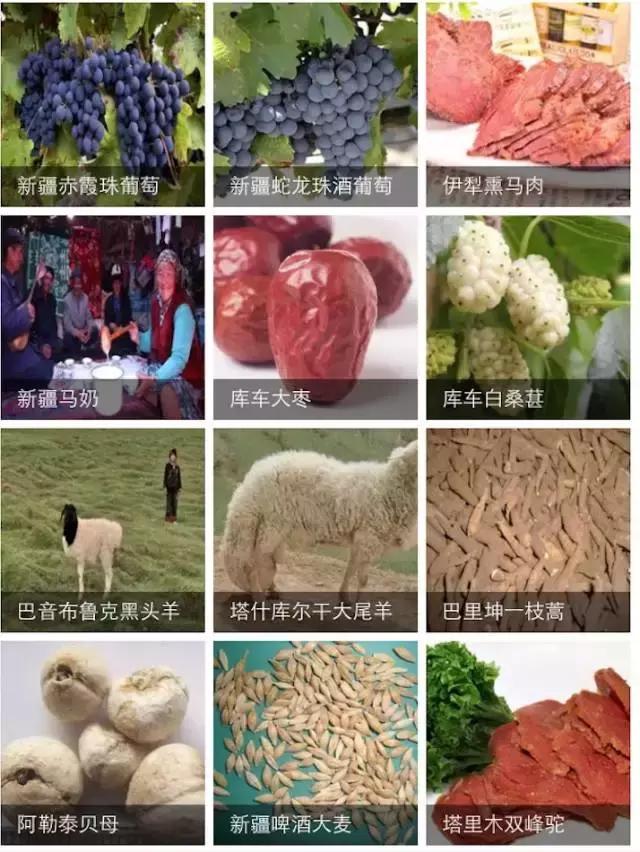 疆领鲜新疆特产,疆公子新疆特产