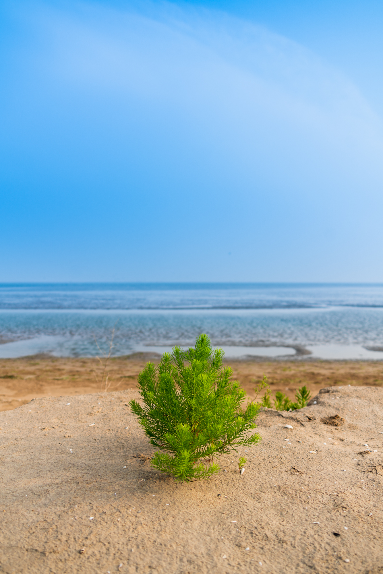 唐山适合1-4岁亲子游的地方,暑假遛娃旅游推荐唐山