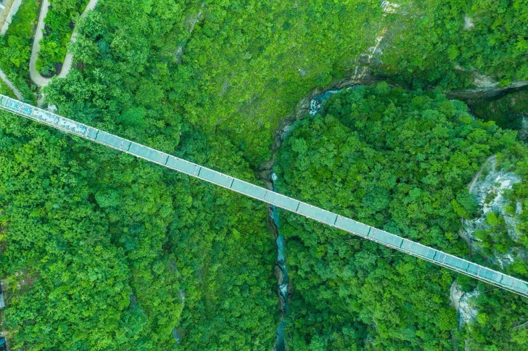 我想对你说董卿演唱,我想对你说傣歌