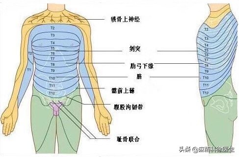 麻醉就是麻醉什么感觉,麻醉师讲的是什么