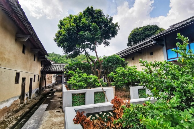 梅州采茶,梅州采茶体验