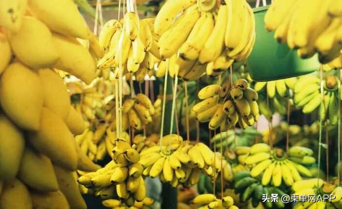 柬埔寨3万人民币能干啥,柬埔寨3000元能干什么