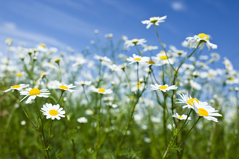 查询行情走势,查询价格变化网站