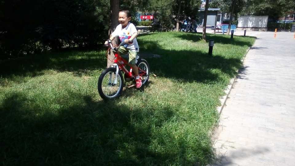 优贝故事开场曲,关于优贝的故事简短