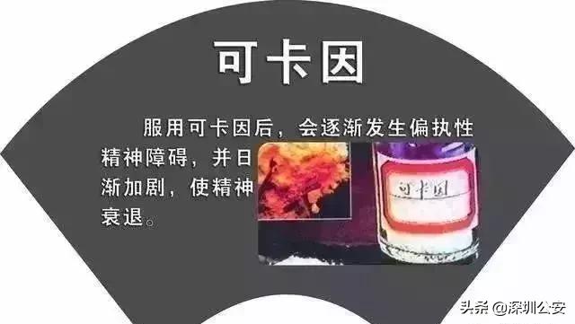 知识点常识大全,知识点大全及关注事项