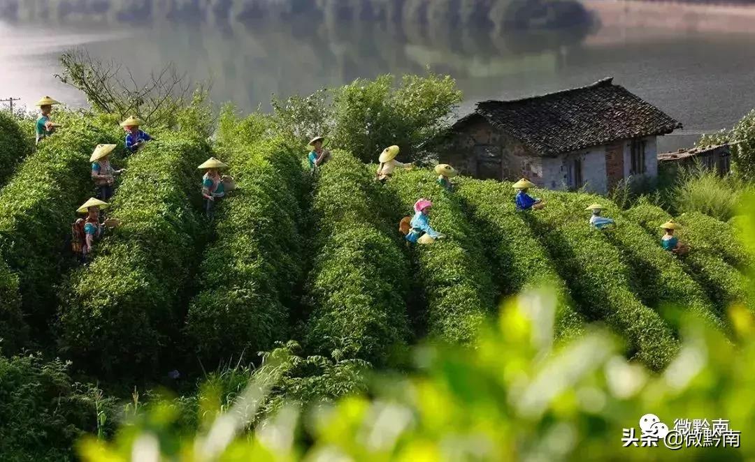 贵州都匀欢迎你,都匀公开招聘