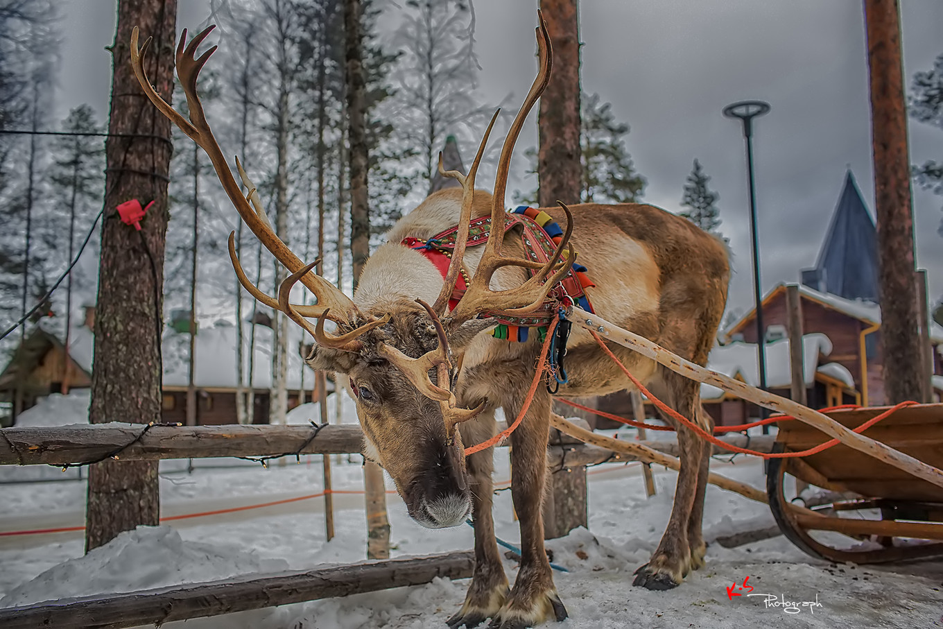 果小姐的日常,果小姐的慢生活