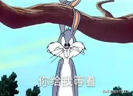 回忆童年经典动画全部,回忆童年的七部动画片