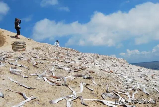 宁波渔山岛旅游攻略,海岛旅游推荐浙江渔山岛