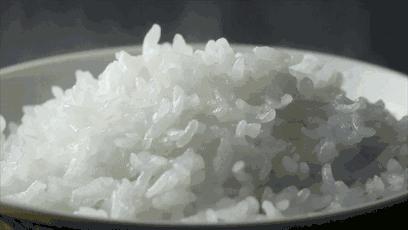 中国排名前十的电饭煲是哪些品牌,电饭煲哪个品牌排名第一