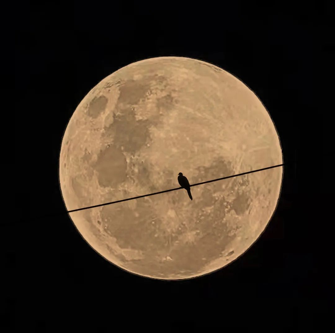 最好的月亮拍摄方法,真实的月亮星空怎样拍才好看